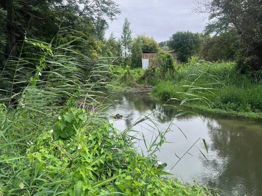 Propriété de loisirs à vendre 17 000 € 2 758 m² de terrain Verzenay 51360