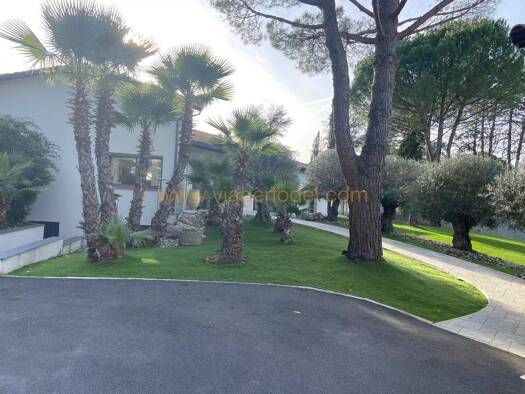 Maison en viager occupé Bouquet 400 000 € 5 pièces 2 chambres 230 m² 3 141 m² de terrain Ranteil - Bellevue - Le Maranel - Le Roc Albi 81000