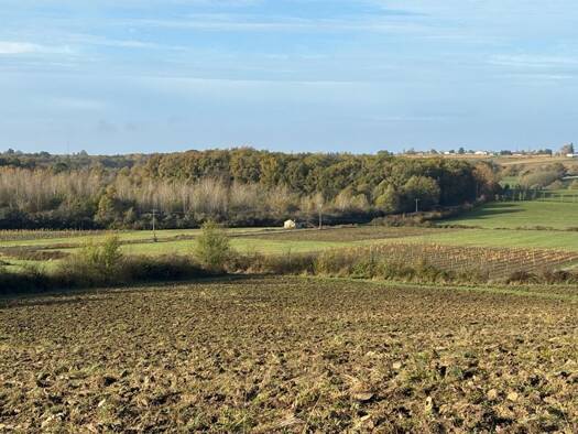 Local commercial à vendre 55 000 € 120 000 m² de surface de vente Castelviel 33540