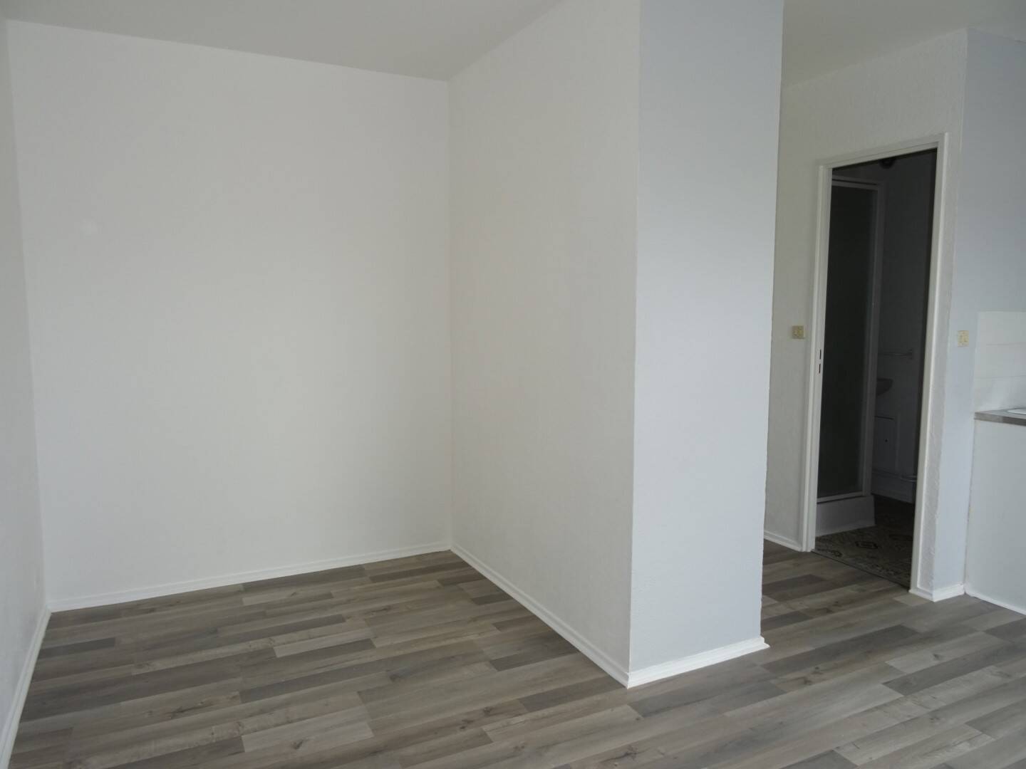 Maison à louer, 20m², OLIVET