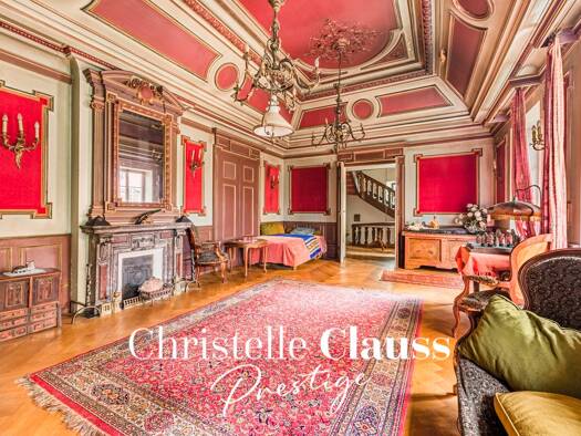 Maison à vendre 1 800 000 € 16 pièces 9 chambres 525 m² 3 300 m² de terrain Centre Ville Haguenau 67500