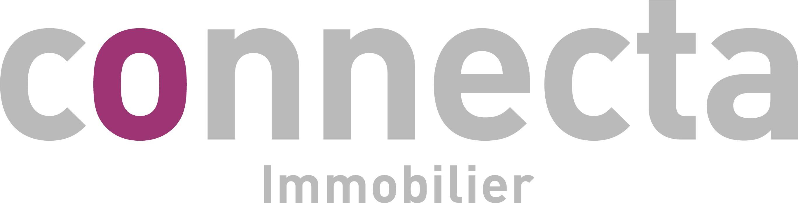 Connecta Immobilier Bléré by Nicolas Saulnier