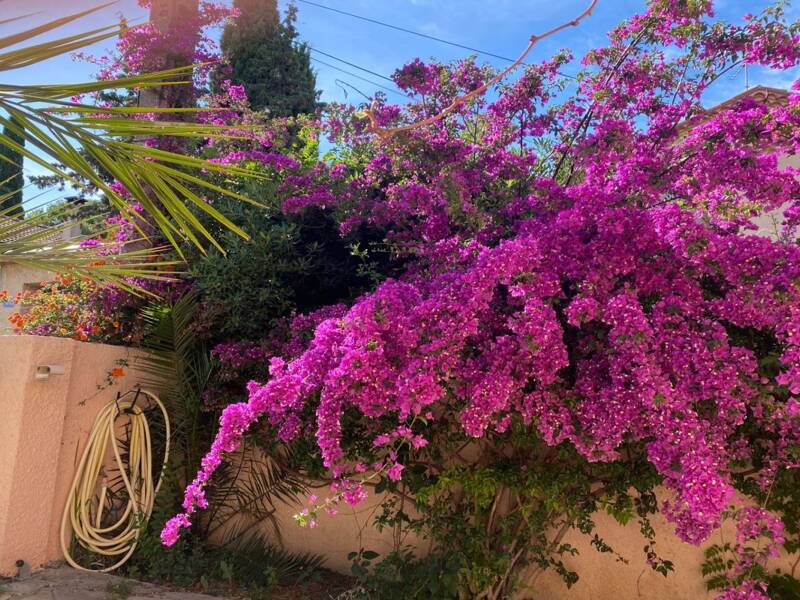 Maison à vendre, 140m², MONTPELLIER