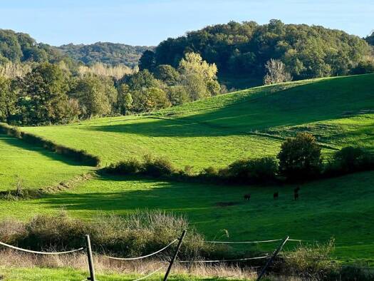 Maison à vendre 680 000 € 8 pièces 6 chambres 315 m² 321 400 m² de terrain Rocamadour 46500