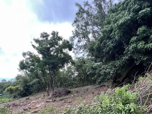 Terrain constructible à vendre 213 000 € 734 m² de terrain Saint-Leu 97424