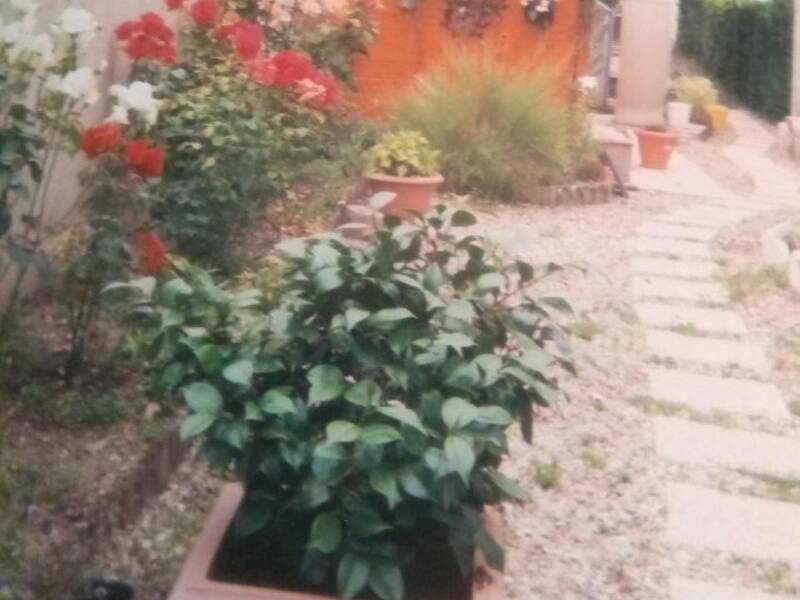 Maison à vendre, 71m², BOURGES