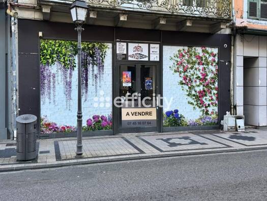 Local commercial à vendre 530 000 € 299 m² de surface de vente Centre-Marcadieu-Marne Tarbes 65000