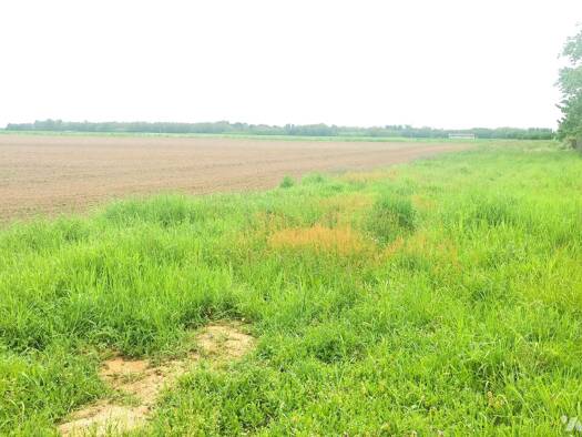 Terrain à vendre 45 000 € 1 800 m² de terrain Lechâtelet 21250