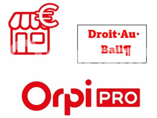 Local commercial avec bail commercial 2 500 € 75 m² de surface de vente Arcachon 33120