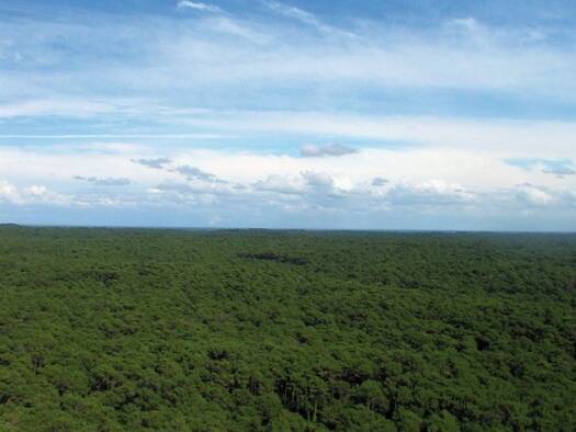 Terrain constructible à vendre 172 000 € 525 m² de terrain Le Teich 33470