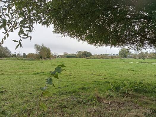 Terrain à vendre 117 700 € 2 335 m² de terrain Saint-Quentin-en-Tourmont 80120