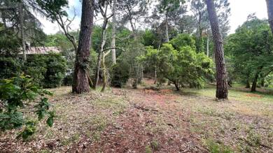 Terrain constructible à vendre 1 352 000 € 1 050 m² de terrain Pereire-Ville-d'Hiver Arcachon 33120
