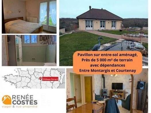 Maison en viager occupé Bouquet 40 900 € 5 pièces 4 chambres 87 m² 4 630 m² de terrain Château-Renard 45220
