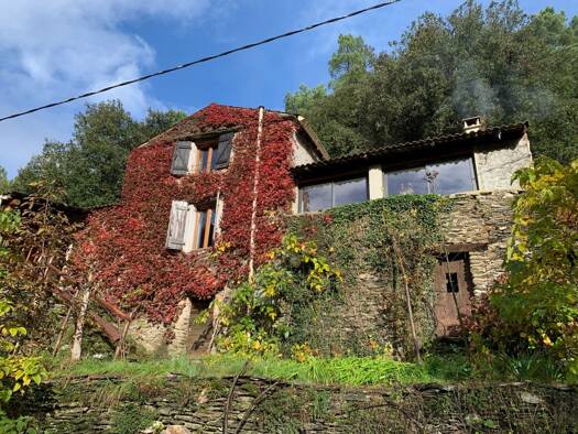 Maison à vendre 249 000 € 4 pièces 2 chambres 110 m² 5 089 m² de terrain Saint-Martin-de-Boubaux 48160