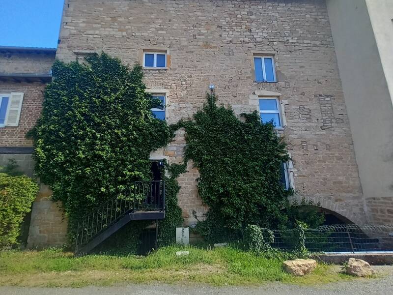 Maison à vendre, 250m², SAINT DIDIER SUR CHALARONNE