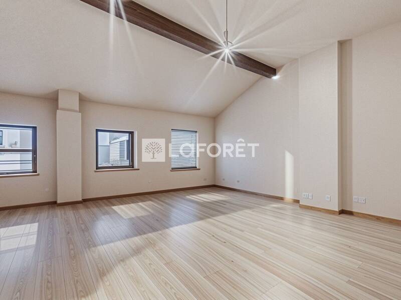 Maison à louer, 48m², NEUVILLE SUR SAONE