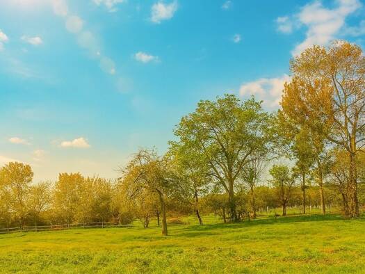 Terrain constructible viabilisé à vendre 48 800 € 700 m² de terrain La Force 24130