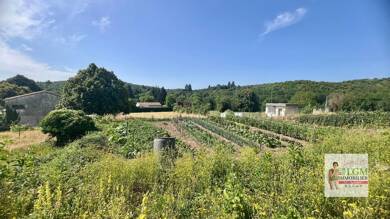 Maison à vendre 538 000 € 8 pièces 5 chambres 283 m² 5 293 m² de terrain Colognac 30460