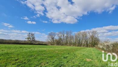 Terrain constructible à vendre 53 500 € 3 018 m² de terrain Marolles-sous-Lignières 10130