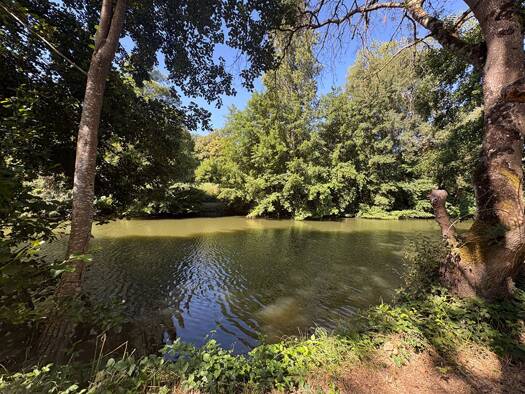 Terrain à vendre 6 200 € 485 m² de terrain Bossay-sur-Claise 37290