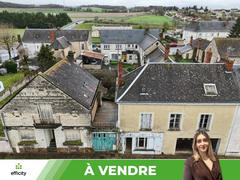 Maison à vendre, 350m², LES ORMES