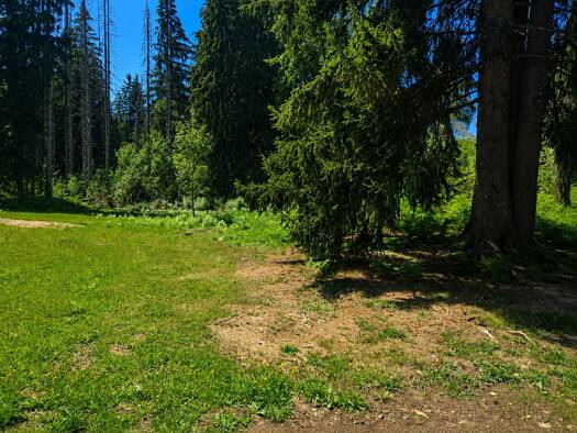 Terrain à vendre 325 000 € 980 m² de terrain Arâches-la-Frasse 74300