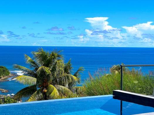 Villa à vendre 1 200 000 € 4 pièces 3 chambres 364,5 m² 1 750 m² de terrain Le Marigot 97225