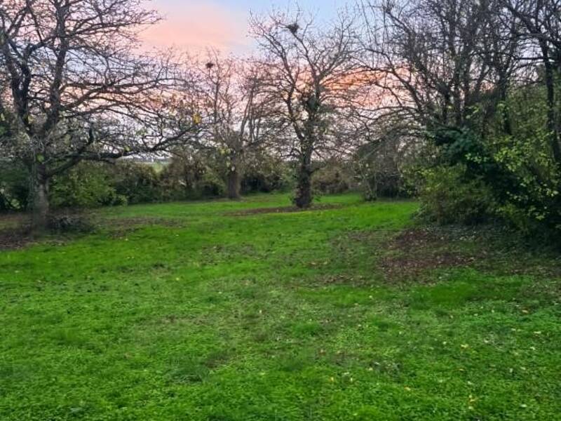 Maison à vendre, 158m², GLENOUZE