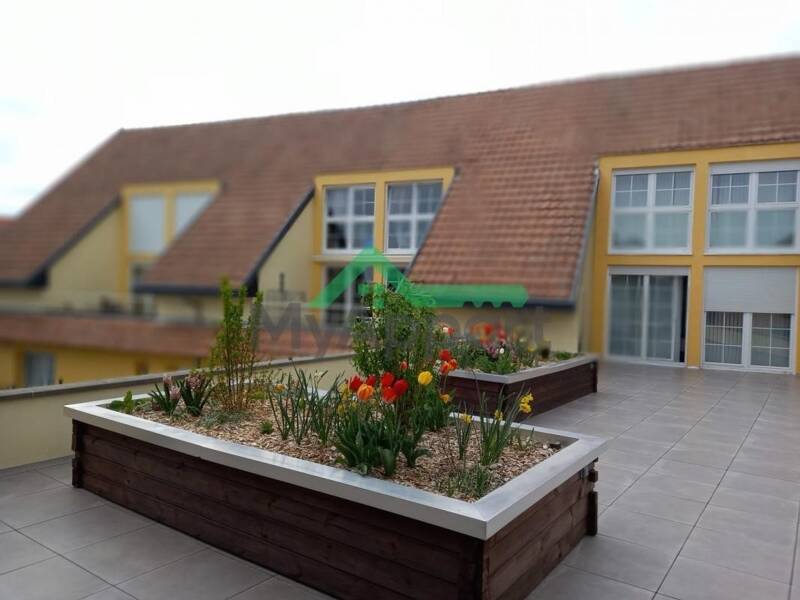 Maison à louer, 140m², ECKWERSHEIM