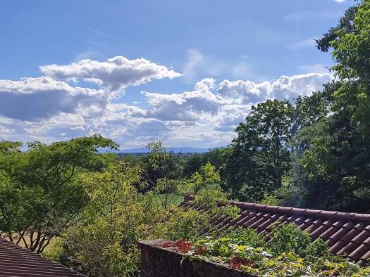 Villa à vendre 219 000 € 1 chambre 210 m² Perrex 01540