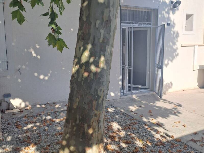 Maison à louer, 73m², PEYPIN