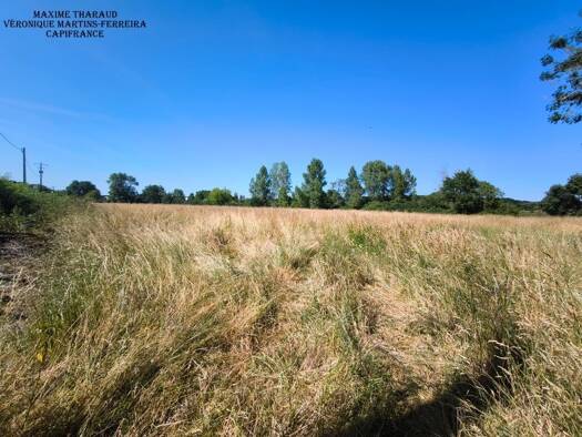 Terrain à vendre 24 500 € 12 560 m² de terrain Châtres-sur-Cher 41320