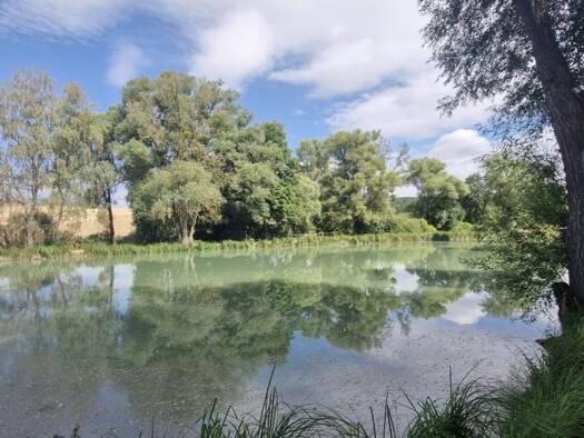 Terrain à vendre 145 000 € 13 840 m² de terrain Bibiche 57320