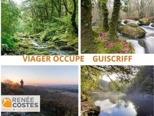 Maison en viager occupé Bouquet 25 500 € 2 pièces 1 chambre 85 m² 1 650 m² de terrain Gourin 56110