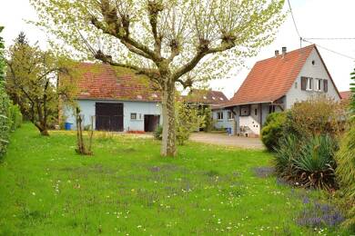 Maison à vendre 283 500 € 7 pièces 4 chambres 138 m² 1 806 m² de terrain Wissembourg 67160
