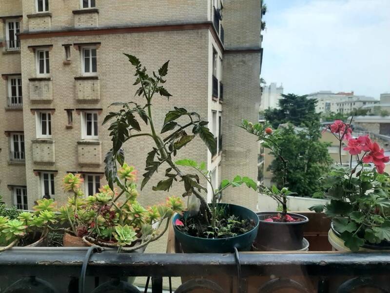 Maison à louer, 17m², PARIS 14E