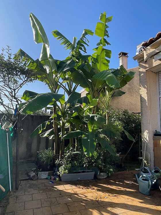 Maison à vendre, 120m², LORMONT