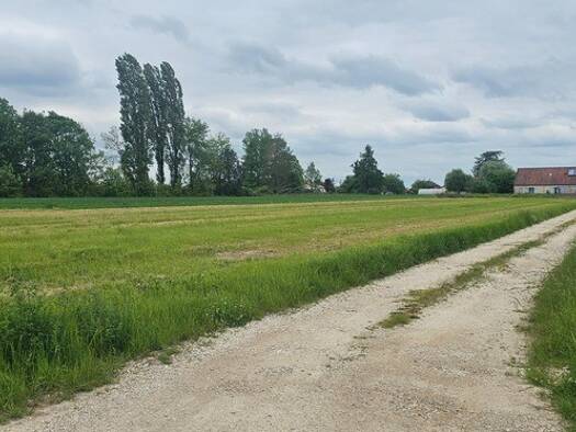 Terrain constructible à vendre 57 000 € 4 026 m² de terrain Laperrière-sur-Saône 21170