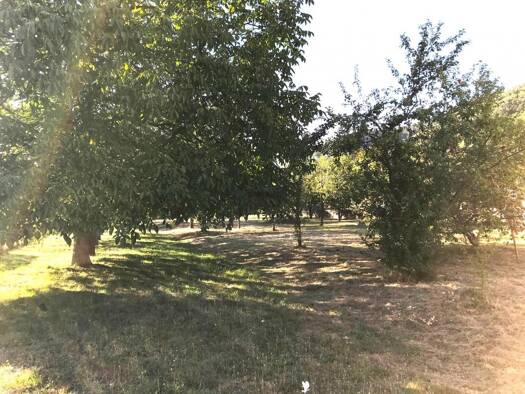 Terrain à vendre 83 000 € 939 m² de terrain Willer-sur-Thur 68760