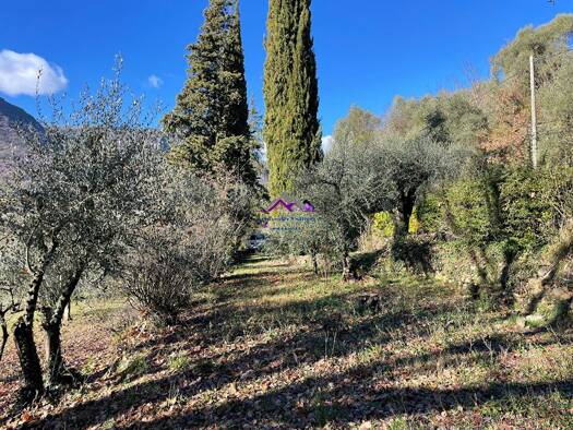 Maison à vendre 315 000 € 3 pièces 2 chambres 56 m² 1 800 m² de terrain Sospel 06380