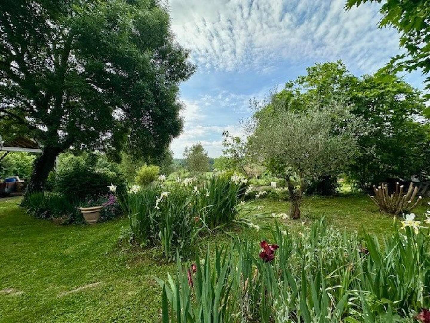 Maison à vendre, 325m², SAINTE FOY DE PEYROLIERES