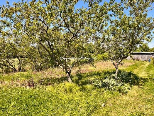 Terrain constructible à vendre 97 000 € 2 076 m² de terrain Saint-Mard 17700