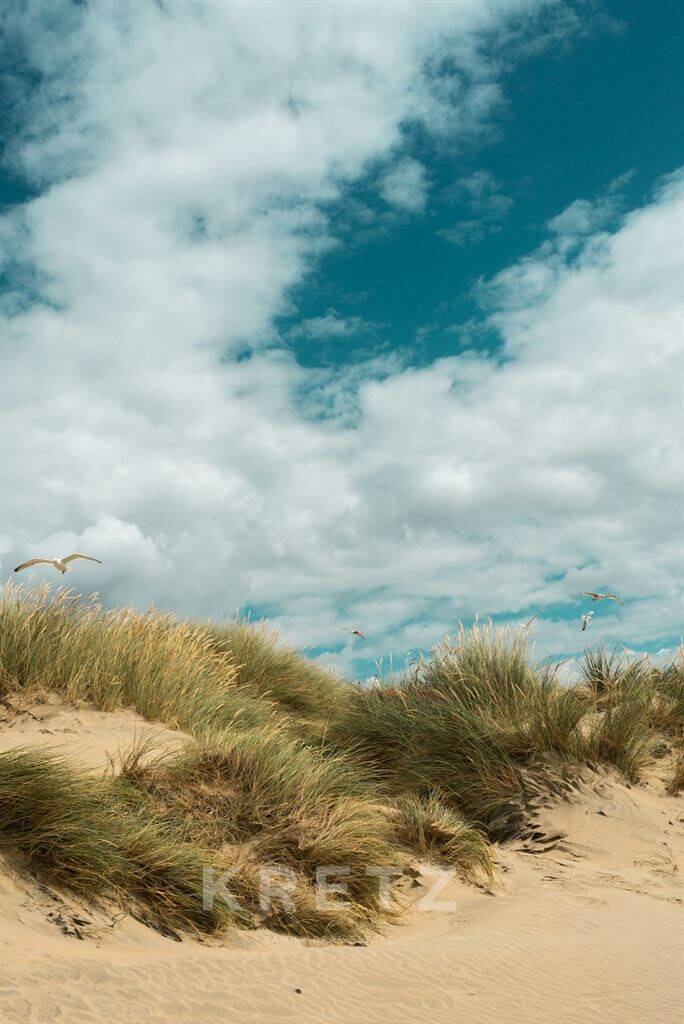 Maison à vendre, 75m², LE TOUQUET PARIS PLAGE