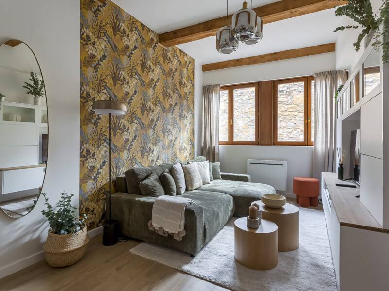 Maison à louer, 45m², LYON 1ER