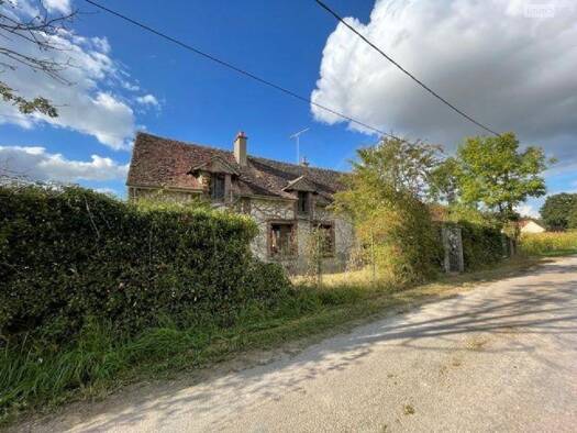 Maison à vendre 85 000 € 4 pièces 2 chambres 82 m² 2 460 m² de terrain Bléneau 89220