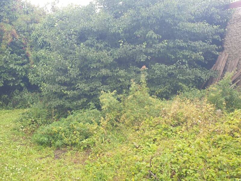 Maison à vendre, 88m², NOYELLES GODAULT