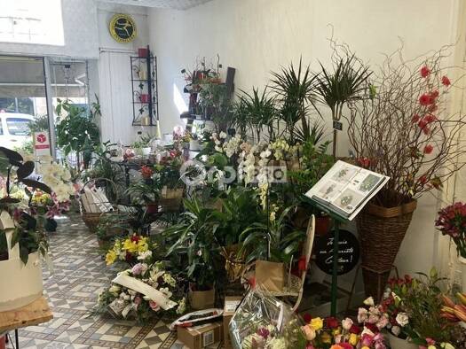 Fleuriste à vendre Fonds de commerce 38 000 € 110 m² de surface de vente Bourg-Saint-Andéol 07700