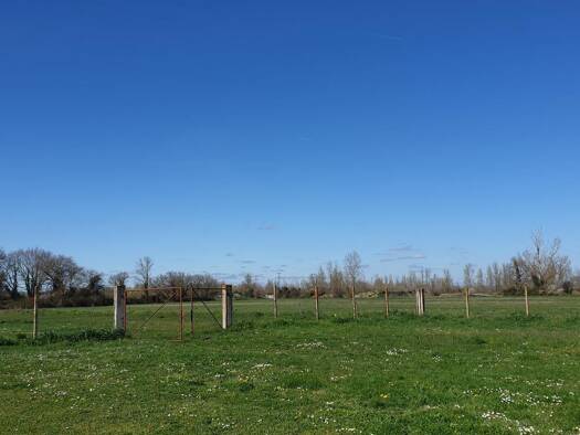 Terrain constructible viabilisé à vendre 115 000 € 1 000 m² de terrain Noé 31410