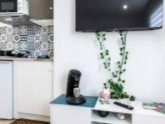 Appartement à louer - logement étudiant 360 € 1 pièce 18 m² 1er étage Saint-Étienne 42000