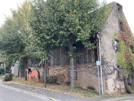 Ferme à vendre 59 832 € 6 pièces 5 chambres 200 m² 350 m² de terrain Landersheim 67700